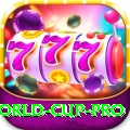2015 world cup VIP Rewards