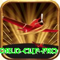 2019 world cup Money Champion v5.0.7