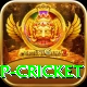 2022 world cup cricket Games (Casino & Earning) VIP v4.3.9