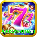 aaron finch Deluxe Pro v2.5.0