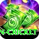 afghanistan cricket Premium v2.0.5