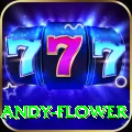 andy flower Pro Max v2.0.2