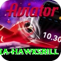 antigua hawksbill Max v4.7.0