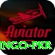 Bingo PKR Max Pro v2.6.3