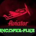 bingopkr Deluxe Edition v5.2.9