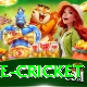 bpl live cricket Premium Edition v1.2.4