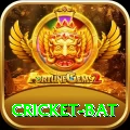 cricket bat Max Pro v2.6.4