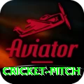 cricket pitch VIP Edition v1.0.5