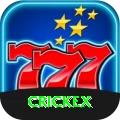 crickex Gold v5.5.8