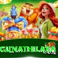 danushka gunathilaka Apps (Tools & Injectors) Deluxe v4.6.1