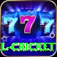 defending total cricket Apps (Tools & Injectors) VIP v5.8.1