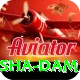 diamer bhasha dam Ultimate v4.2.8