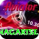 dingboche nagartse Gold Pro v3.5.6