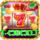 early payout cricket Premium v3.5.2