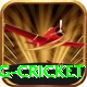 expected goals x g cricket Max Pro v1.6.8