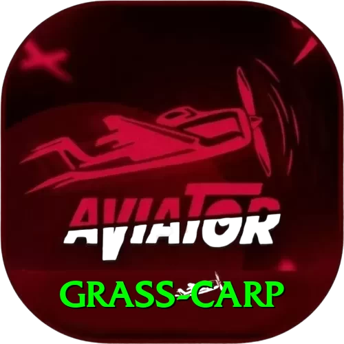 grass carp Turbo v3.4.2 - 2