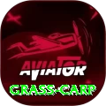 grass carp Turbo v3.4.2