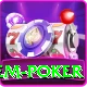 holdem poker Pro v1.4.2