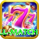 ind all match Premium Edition v5.1.8