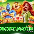 india cricket match Ultimate Pro v5.0.3