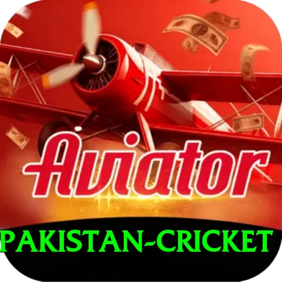 india pakistan cricket Deluxe v3.1.1 - 2