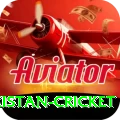 india pakistan cricket Deluxe v3.1.1