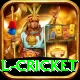 international cricket Gold Edition v1.8.2