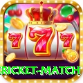 international cricket match Premium Edition v5.9.8