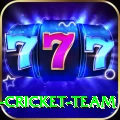 ireland cricket team Gold Pro v4.7.6