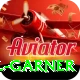 joel garner Apps (Tools & Injectors) Ultimate v5.4.3
