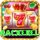 king mackerel Pro Edition v4.1.4