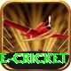 mobile cricket App