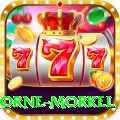morne morkel Premium v4.3.4