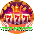most test wickets Elite v4.4.9