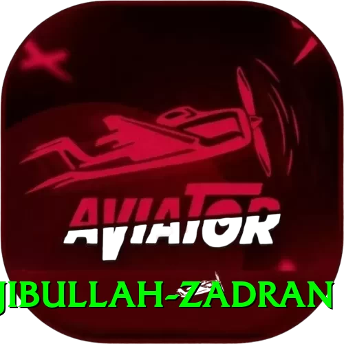 najibullah zadran Master v1.2.8 - 2