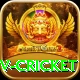 ndtv cricket Deluxe Edition v2.2.6
