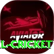 nepal cricket Pro Edition v3.2.2