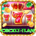 new zealand cricket team Pro Max v5.2.7