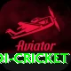 odi cricket Deluxe v2.5.8