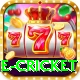 online cricket Apps (Tools & Injectors) Deluxe v5.5.6