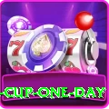 pakistan cup one day Premium v3.5.1