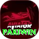 Pakiwin Pro1 v4.4.3