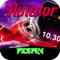 pkspin Pro v3.1.0