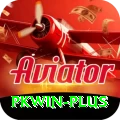 pkwin Max v1.8.5