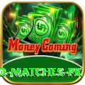 rain affected matches pk Premium Edition v3.6.2