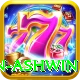 ravichandran ashwin Pro1 v1.3.5