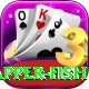 red snapper fish Master v3.8.9
