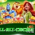 risk free bet cricket VIP v3.3.5