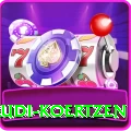 rudi koertzen Pro v1.4.3