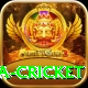 sa cricket Master Pro v4.4.2